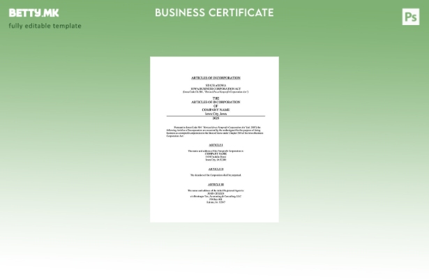 Модерен стил САД Ајова статии за инкорпорација Word и PDF шаблон шаблон